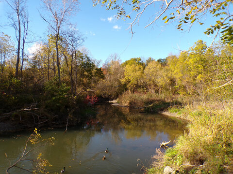 Fall landscape with colorful trees and river