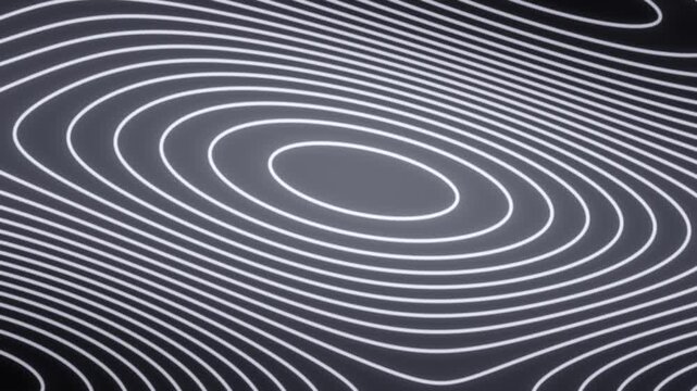 Seamless loop graphite grey animated flowing contour lines background
