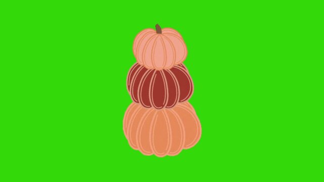 vector illustration of a pumpkin