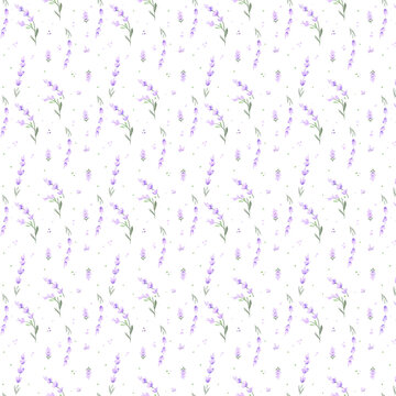 seamless pattern of purple lavender 