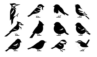Modern Minimalist Wild Bird Collection Geometric Flat Vector Set © Tapas