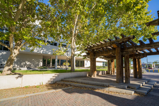 Wooden pergola structure and brick walkway on campus