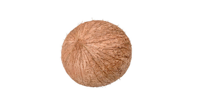 Whole brown coconut with fibrous husk isolated on black background