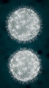 T Cell Immune Response and Cellular Interaction Animation