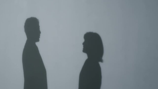 Silhouettes of a man and a woman shaking hands