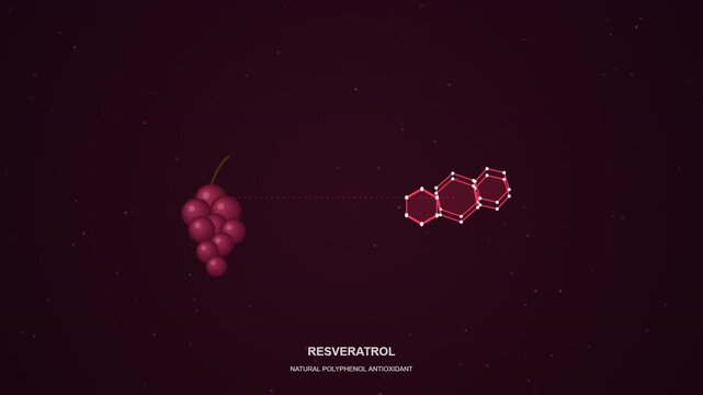 Resveratrol Molecular Structure Animation with Grapes Natural Antioxidant