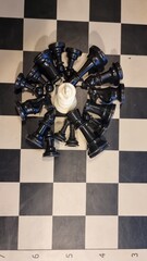 chess pawns war winner one fallen strategy background © sea and sun