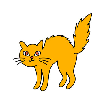 bright orange scary cat standing with fierce arched back