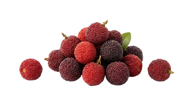 Fresh red bayberries piled on white background with bayberry
