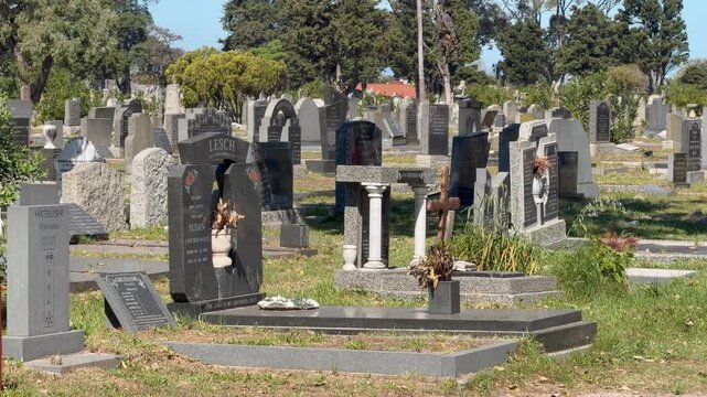 Sunlit cemetery with granite gravestones and pine trees under blue sky