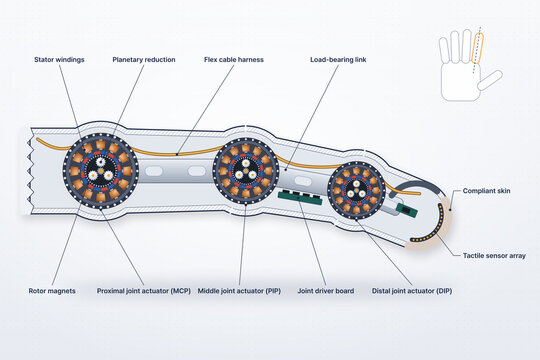 Labeled cross-section diagram of a robot finger with MCP, PIP and DIP joint actuators, stator windings, rotor magnets and tactile sensor array