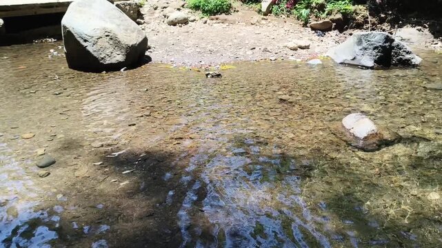 Clear water flowing gently in shallow rocky riverbed outdoors