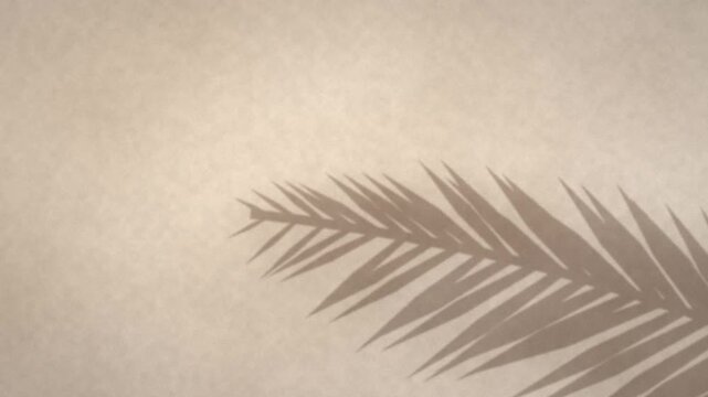 Fond d'ombres de plantes sur un mur beige en boucle sans couture