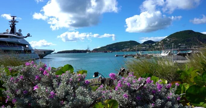 Philipsburg harbor framed by purple flowers with yacht and town, Sint Maarten