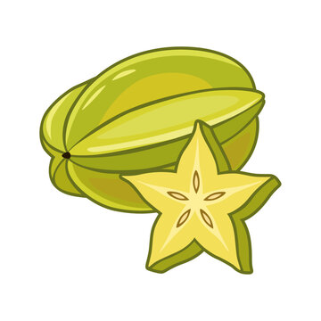 Fresh whole and star-shaped slice star fruit vector illustration hand drawn style