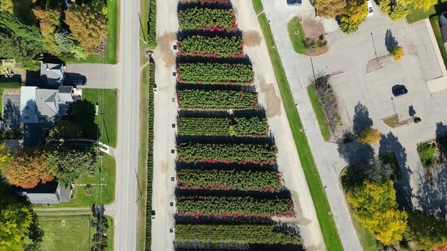 Aerial moving forward looking down over a plant nursery and homes off Old Martindale Road and Third Street Louth in north St. Catharines, Ontario, Canada on a sunny Autumn day in October, 2024.