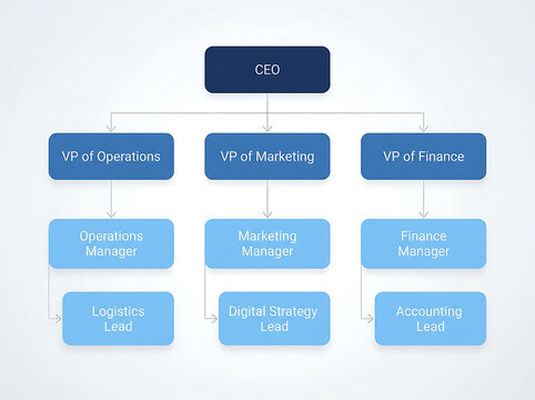 Corporate organizational chart showing company hierarchy, professional business structure diagram with CEO and VP roles, blue management flow chart