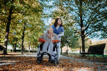 Old woman in wheelchair on walk in the park during warm autumn day.