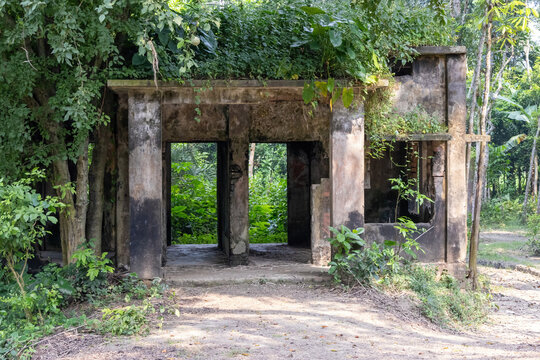 Abandoned concrete building ruin overgrown with wild green plants and vines. Old damaged structure surrounded by dense jungle trees in daylight.