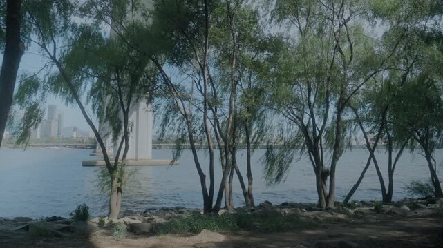 Scenic view of a river and bridge through weeping willow trees on the riverbank, peaceful nature landscape