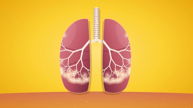 Human lungs breath in yellow background for study medical science biology