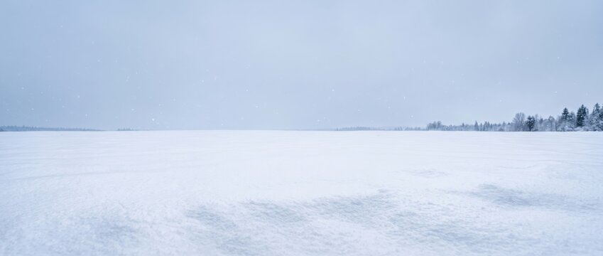 Wide panoramic view of a vast, flat, snow-covered frozen lake under a pale, overcast sky with a distant line of snow-dusted pine trees on the horizon