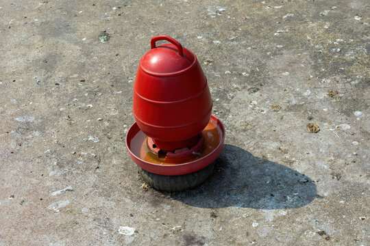 Red plastic poultry drinker placed on a concrete floor in a farm. Automatic water dispenser equipment used for feeding birds and pigeons.