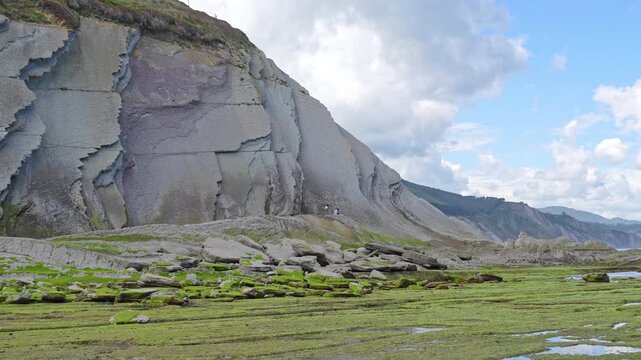 Massive layered flysch cliff rising over a wave cut platform covered in green algae at low tide, with tiny hikers for scale, in Zumaia, Basque Country, Spain