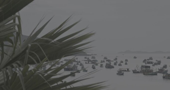 Fishing Fleet in An Thoi Harbour Seen Through Palm Leaves in Phu Quoc