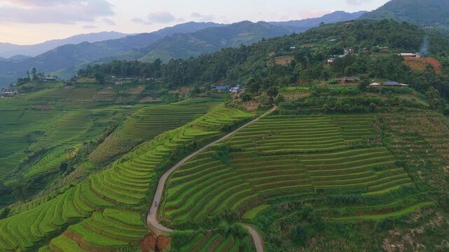 Majestic aerial view of the verdant, stepped rice paddies in mu cang chai, vietnam. The sun is setting behind the scenic mountains