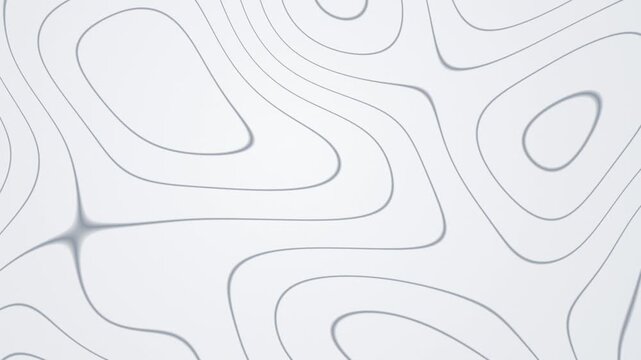 Grey topographic contour lines slowly morphing on a clean white background, minimal map pattern, seamless loop