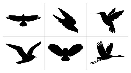 Fototapeta premium Bird silhouettes set with eagle, falcon, hummingbird, seagull, owl and crane for nature logos