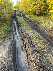 Naklejka premium Muddy dirt road with deep tire tracks and puddles. Fall leaves scatter along the wet, uneven surface. Trees frame both sides with autumn yellow foliage.