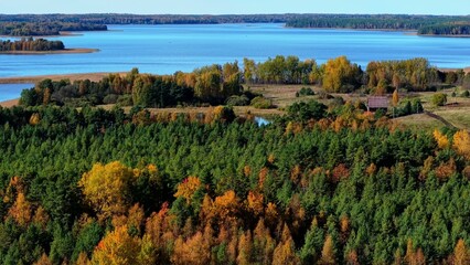 Naklejka premium Vibrant autumn forest foliage surrounding a serene lake under clear blue sky