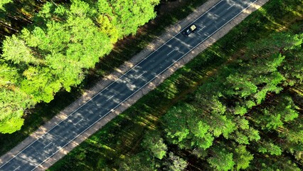 Naklejka premium Aerial view of winding asphalt road surrounded by lush green trees under clear blue sky