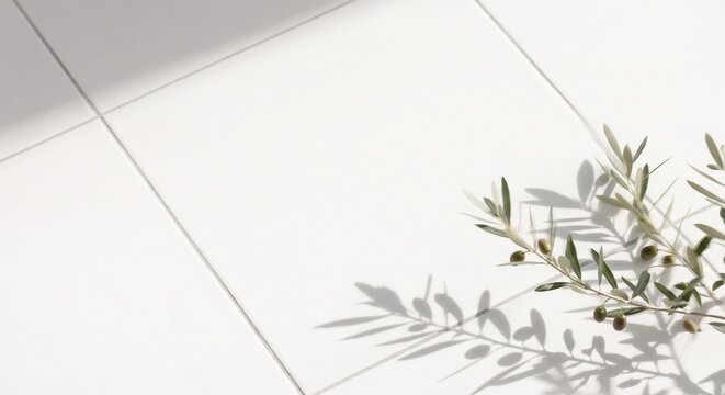 Minimalist olive branch and its crisp shadow on a clean white tiled background under bright natural sunlight