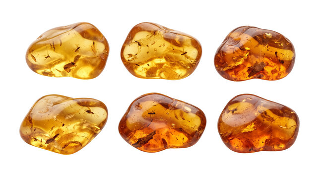 Natural amber stones with organic inclusions, set of six polished fossilized resin gems, golden translucent amber pieces for jewelry design