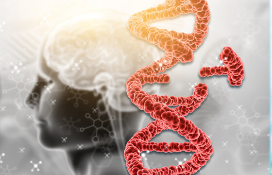 Advanced 3D DNA editing concept featuring human head and brain anatomy, genetic modification, biotechnology, and futuristic medical research visualization.