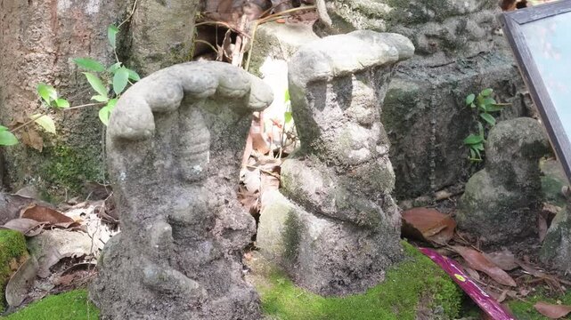 Mannarasala Sree Nagaraja Temple in Haripad, Kerala, is a unique sacred destination dedicated to serpent worship. Set within a lush woodland landscape, temple is known for its peaceful surroundings