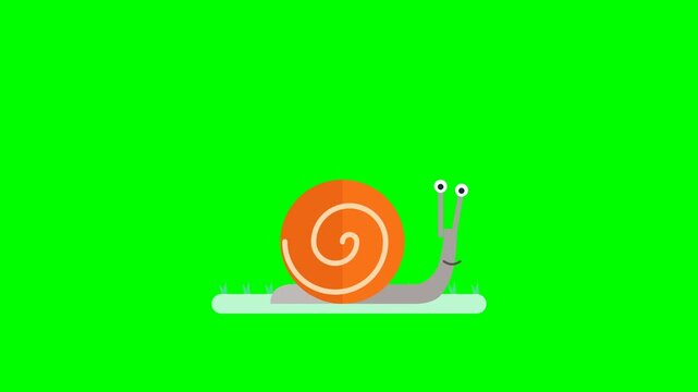 Snail cartoon characters crawling on green screen