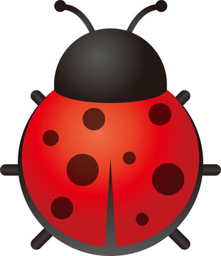 Cute red ladybug vector illustration with black spots, isolated on a light background.