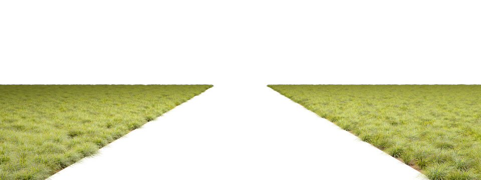 Natural grass field with empty path perspective png