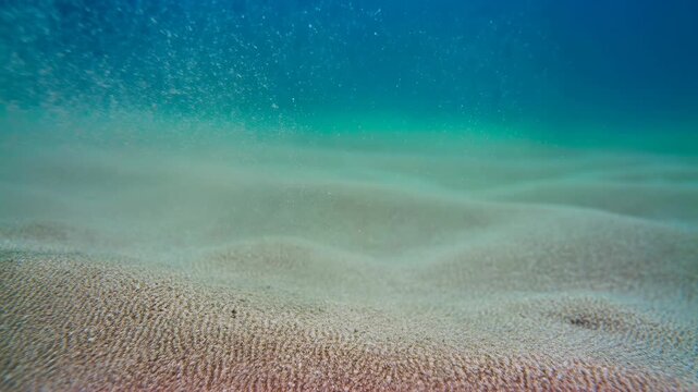 Turquoise water flows over a rippled sandy seabed as suspended sediment drifts across the ocean floor. Marine science education, oceanography documentaries.