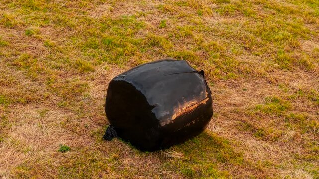 Black bale of silage on dry harvested grassland with close aerial perspective. Plastic wrapped animal fodder for winter feeding. Livestock farm storage with preserved forage after seasonal grass