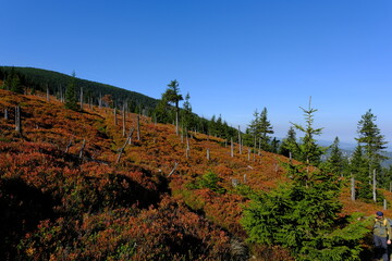 Górski krajobraz w Karkonoszach © FotoWave Dawid Nowak