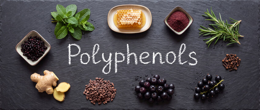 Polyphenols text surrounded by antioxidant foods arranged on dark slate stone, featuring berries, honeycomb, cocoa nibs, mint, ginger, and rosemary for healthy diet concepts