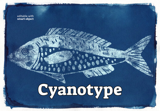 Cyanotype Photo Effect