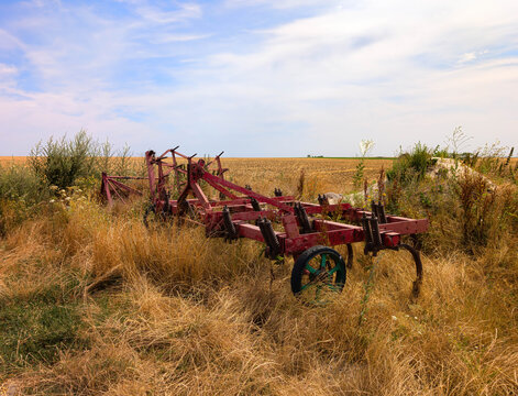 Old rusty red vintage agricultural cultivator tool abandoned in high dry grass at field edge under blue cloudy sky