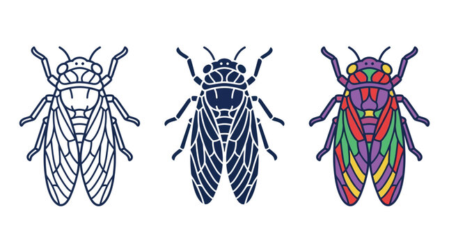 Detailed cicada insect vector illustrations displayed with outline, solid blue, and vibrant multicolored options