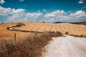 Naklejka premium Golden harvested fields and winding gravel road in the rolling hills of Tuscany, Italy. Scenic summer countryside landscape with dry grass and blue sky with white clouds.